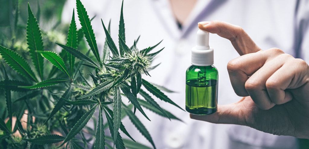 doctor with cbd oil