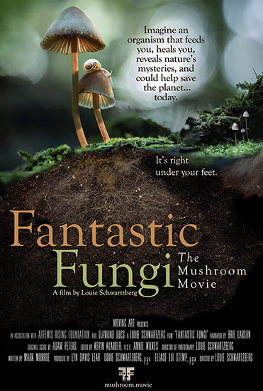 Movie Poster - Fantastic Fungi