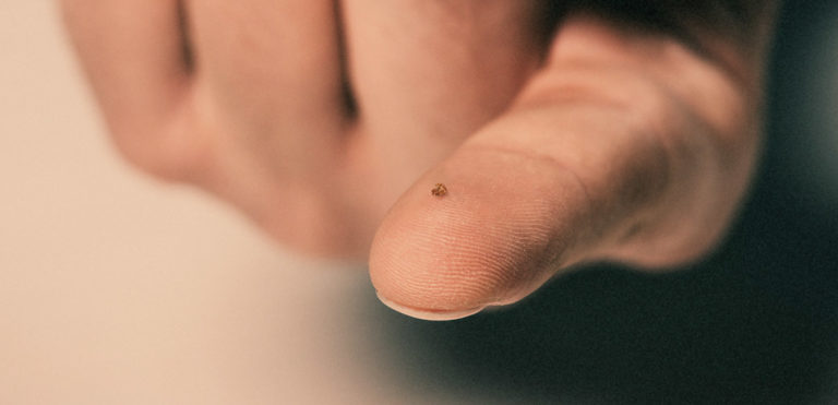 Microdosing: A tiny piece of magic mushroom on a finger